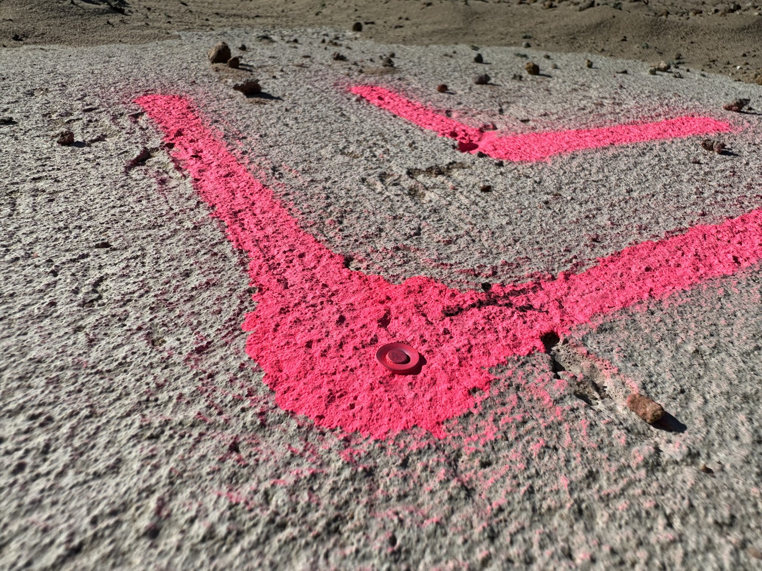 A photo of a nail placed in concrete as part of construction setout, sprayed pink